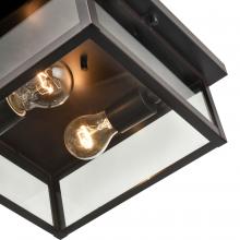  4202-PBZ - Outdoor Flush Mount