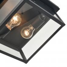  4202-PBK - Outdoor Flush Mount