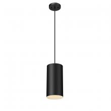  2961-PBK - Outdoor Hanging Pendant