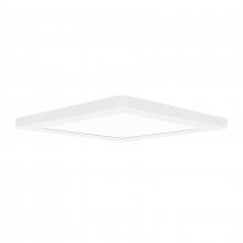  20834LEDD-WH/ACR - LED Flush Mount