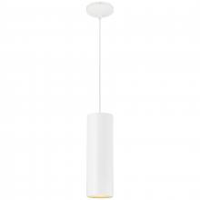  29002-MWH-C - Pendant