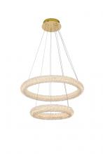  3800G24SG - Bowen 24 Inch Adjustable LED Chandelier in Satin Gold