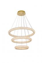  3800G3LSG - Bowen 32 Inch Adjustable LED Chandelier in Satin Gold