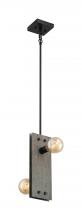  60/7232 - Stella - 2 Light Mini Pendant with- Driftwood and Black Accents Finish