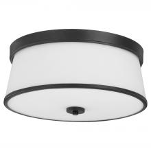  3203-16-59 - Weir 16 inches Ceiling Mount, Matte Black