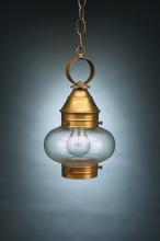  2022-AB-MED-CLR - Onion Hanging No Cage Antique Brass Medium Base Socket Clear Glass