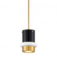  299-41 - Beckenham Pendant