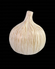  1200-0539 - Medium White Garlic Bulb