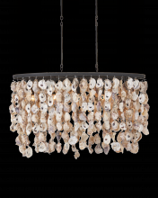  9492 - Stillwater Oyster Shell Oval Chandelier