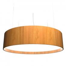  205LED.09 - Cylindrical Accord Pendant 205 LED